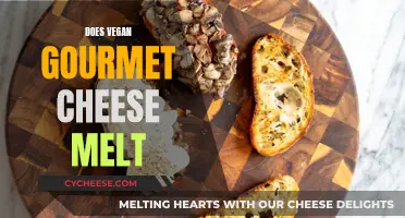 Vegan Gourmet Cheese: Melting and Taste Perfection