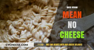Does Vegan Mean No Cheese? Unraveling the Dairy-Free Diet Myth