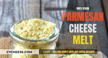 Vegan Parmesan: Melting Capabilities and Taste Test