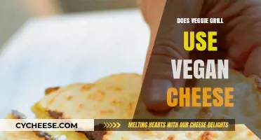 Veggie Grill: Vegan Cheese Options?