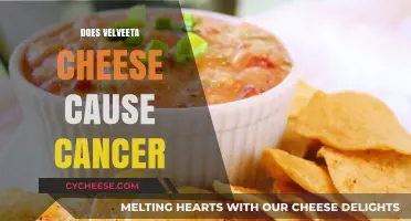 Velveeta Cheese and Cancer: Separating Fact from Fiction