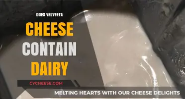 Is Velveeta Dairy-Free? Unraveling the Cheese Product's Ingredients