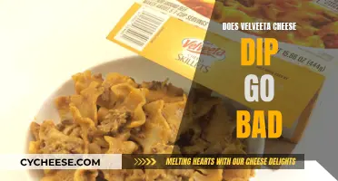 Velveeta Cheese Dip: How Long Does it Last?