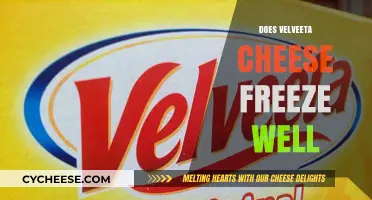 Can You Freeze Velveeta Cheese? Tips for Preserving Creamy Texture
