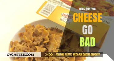 Velveeta Cheese: Does it Go Bad?