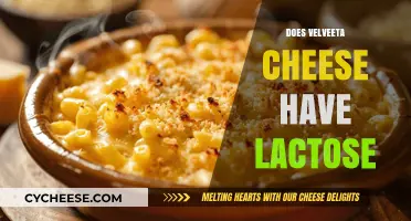 Does Velveeta Cheese Have Lactose? Uncovering the Truth for Cheese Lovers