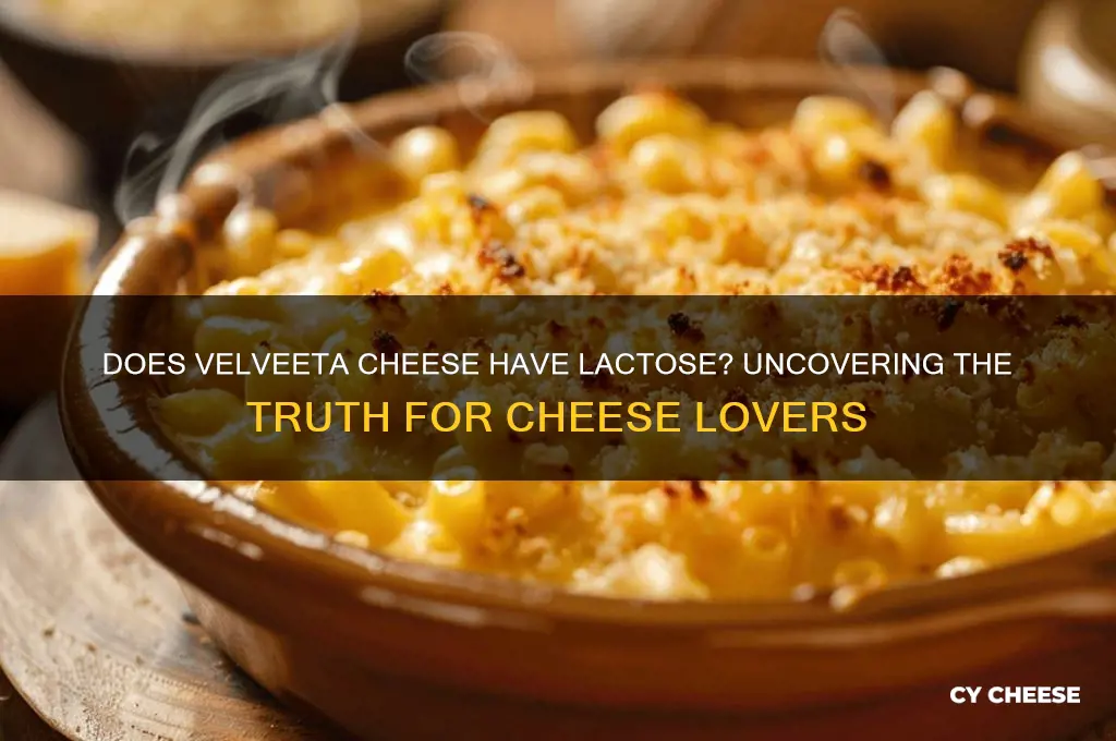 does velveeta cheese have lactose
