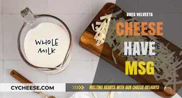 Does Velveeta Cheese Contain MSG? Uncovering the Truth About Ingredients