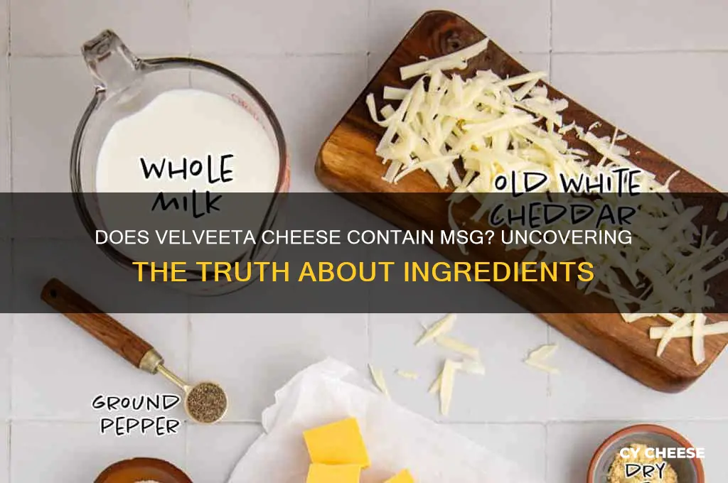 does velveeta cheese have msg