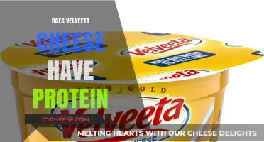 Does Velveeta Cheese Have Protein? Nutritional Breakdown and Facts