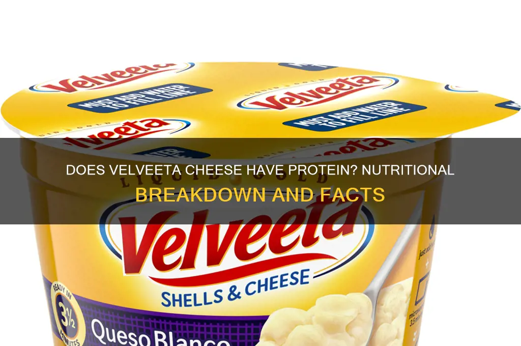 does velveeta cheese have protein