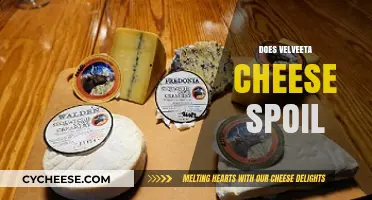 Does Velveeta Cheese Spoil? Shelf Life and Storage Tips Revealed