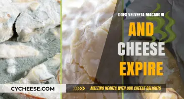 Velveeta Mac and Cheese: How Long Does it Last?