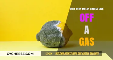 Moldy Cheese and Gas Emissions: Unveiling the Truth Behind the Smell