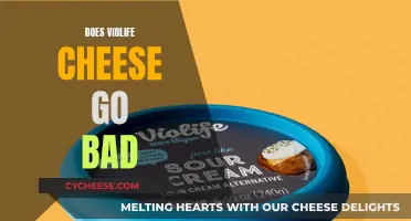 Violife Cheese: Does It Go Bad?