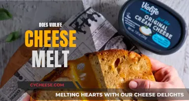 Melting Violife: A Cheesy Delight or Disaster?