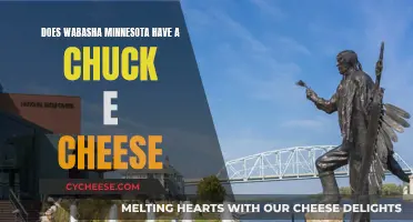 Chuck E. Cheese in Wabasha, Minnesota: Does It Exist?