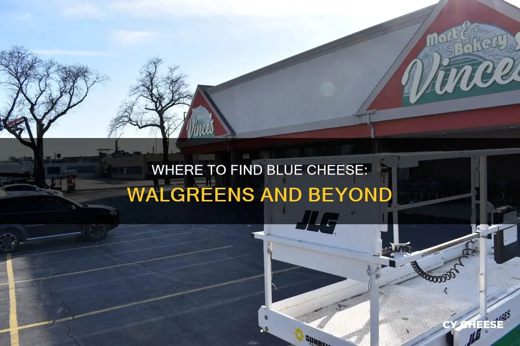 does walgreen sell blue cheese