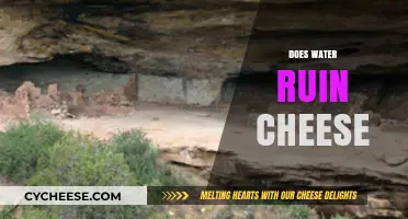 Does Water Ruin Cheese? Unraveling the Myth and Best Practices
