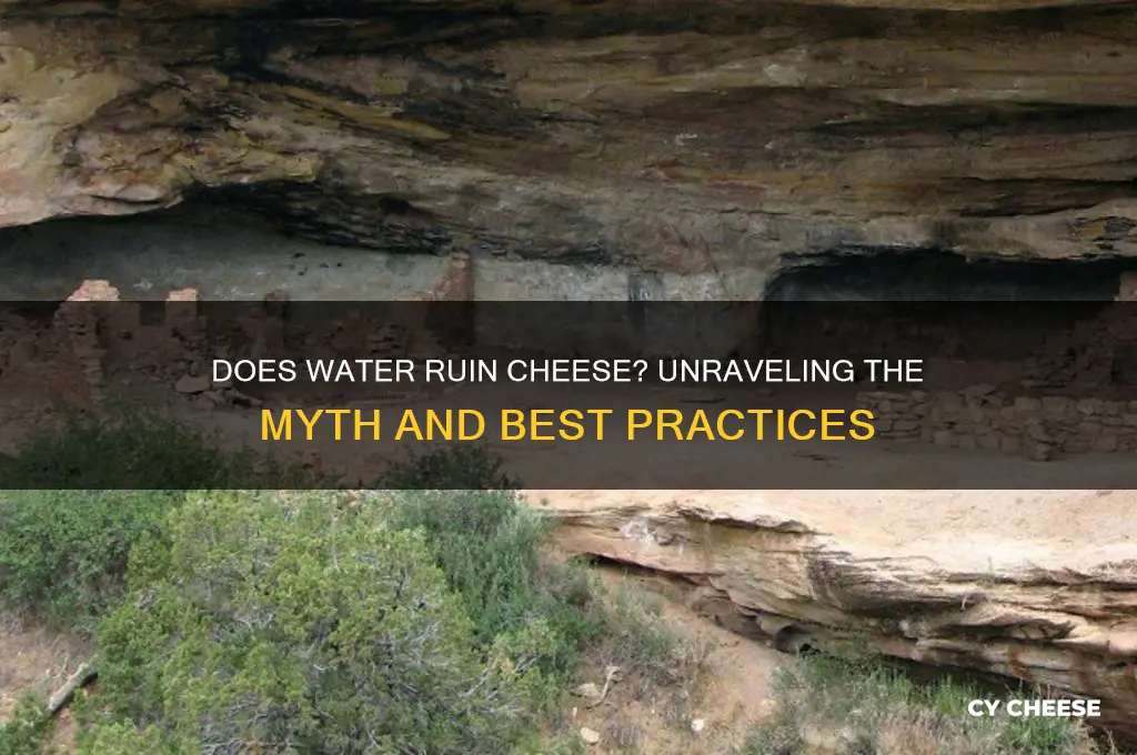 does water ruin cheese