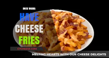 Wawa Cheese Fries: Are They on the Menu? Find Out Here!