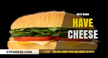 Does Wawa Have Cheese? Exploring Their Menu and Snack Options