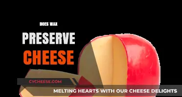 Wax Coating: Effective Cheese Preservation Method or Myth?