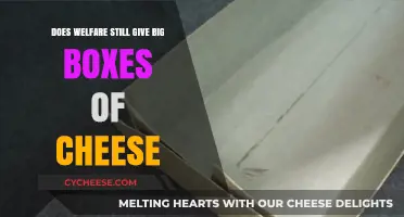 Does Welfare Still Provide Big Boxes of Cheese? Unraveling the Myth