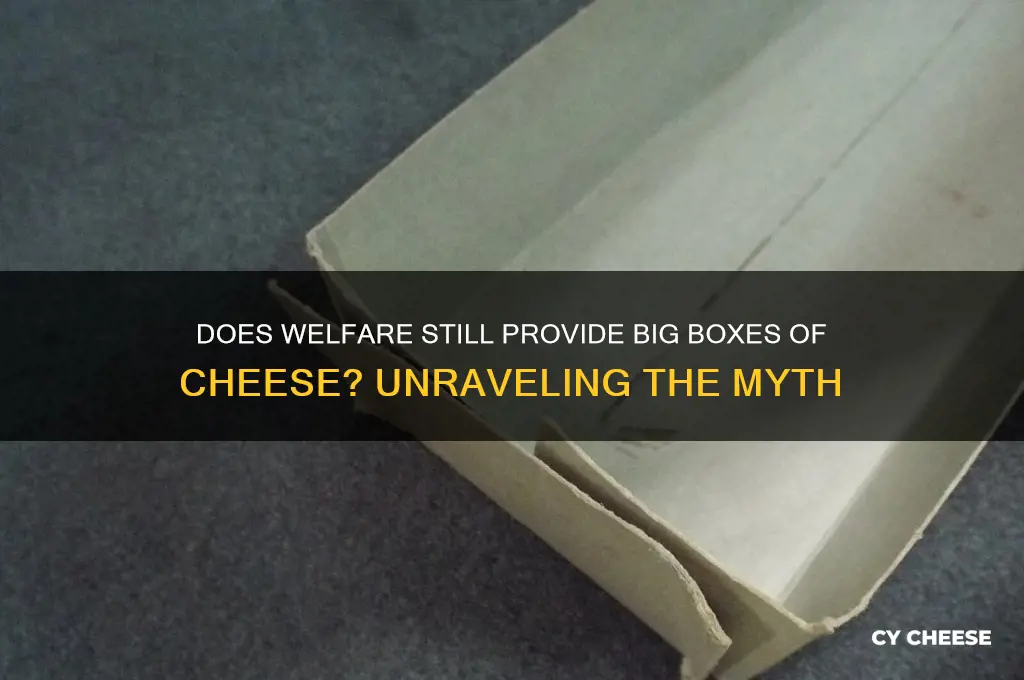 does welfare still give big boxes of cheese