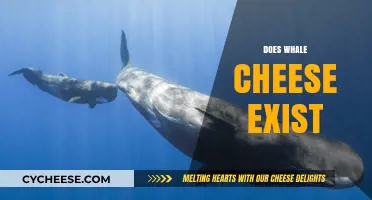 Does Whale Cheese Exist? Unraveling the Myth of Marine Dairy
