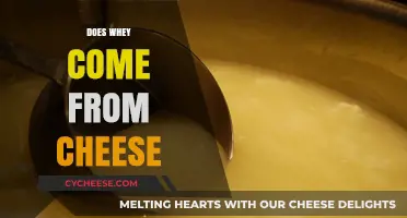 Does Whey Come From Cheese? Unraveling the Dairy Connection