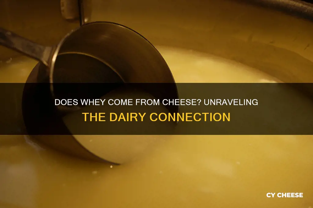 does whey come from cheese