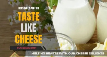 Whey Protein's Cheesy Taste: Why It's Not So Bad