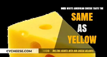 White vs. Yellow American Cheese: A Taste Comparison