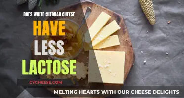 White Cheddar Cheese: Less Lactose, More Flavor