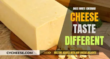 White Cheddar Cheese: A Unique Taste Experience?