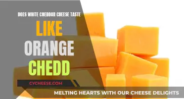 White vs Orange Cheddar: A Taste Test