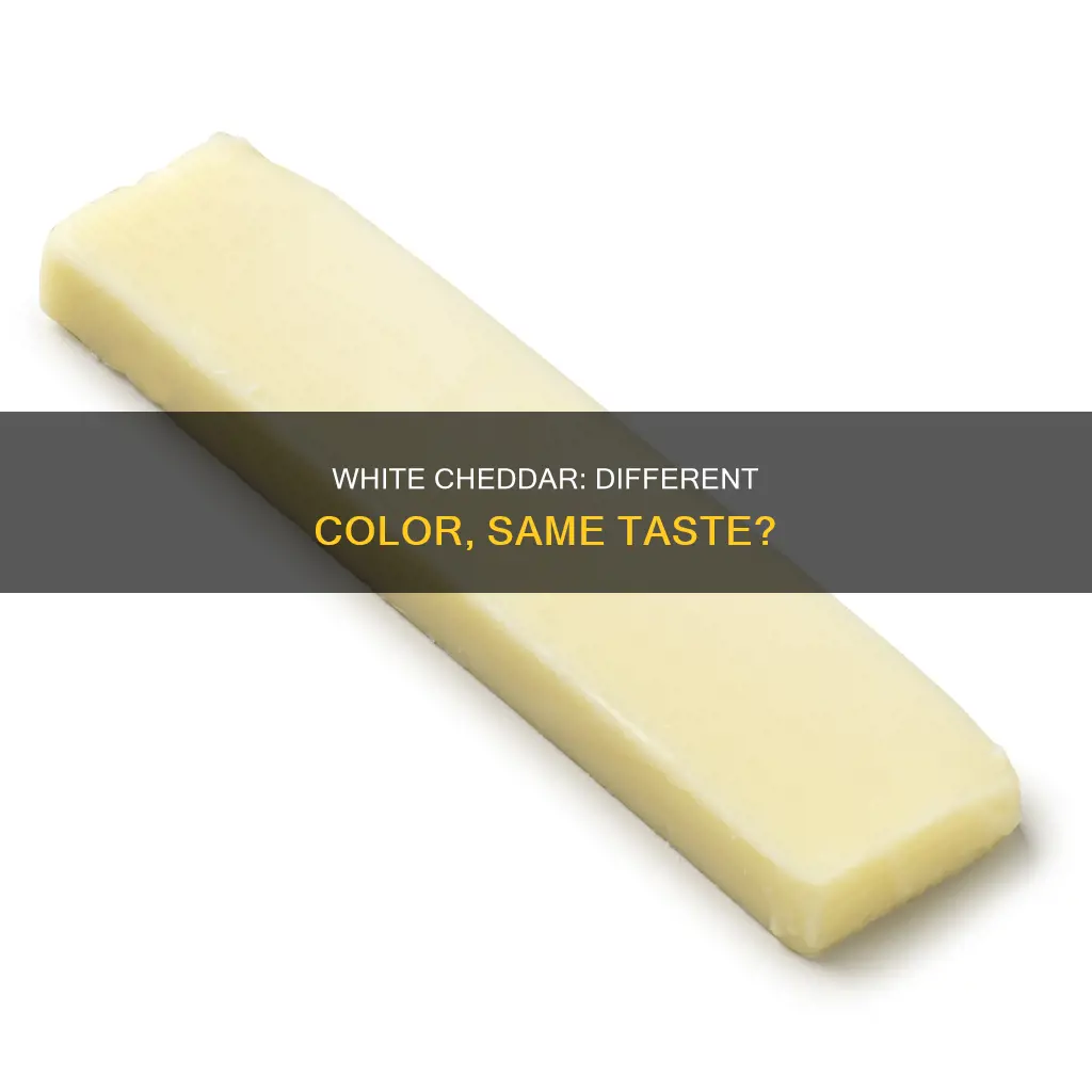 does white chedder taste like regular chedder cheese