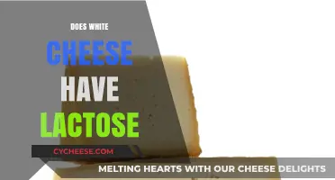 Does White Cheese Have Lactose? Uncovering the Truth for Cheese Lovers