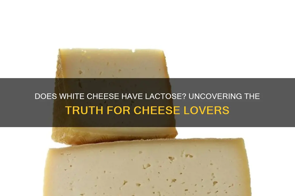 does white cheese have lactose