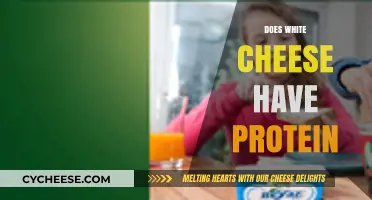 Does White Cheese Have Protein? Uncovering Nutritional Facts and Benefits