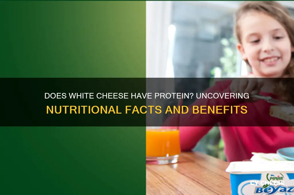 does white cheese have protein