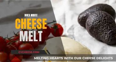 White Cheese Melting: The Science Behind It