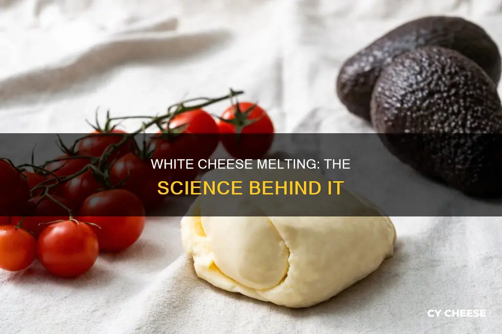 does white cheese melt