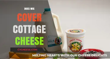 Does WIC Cover Cottage Cheese? Eligibility and Benefits Explained