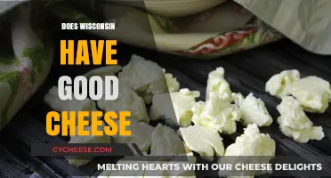Wisconsin Cheese: Worth the Hype?