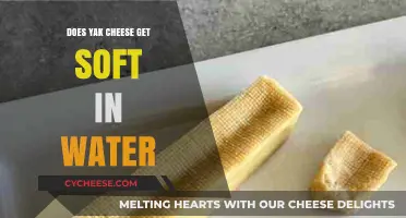 Yak Cheese: Soak to Soften?