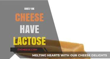 Yak Cheese and Lactose: Unraveling the Dairy Mystery for Sensitive Stomachs