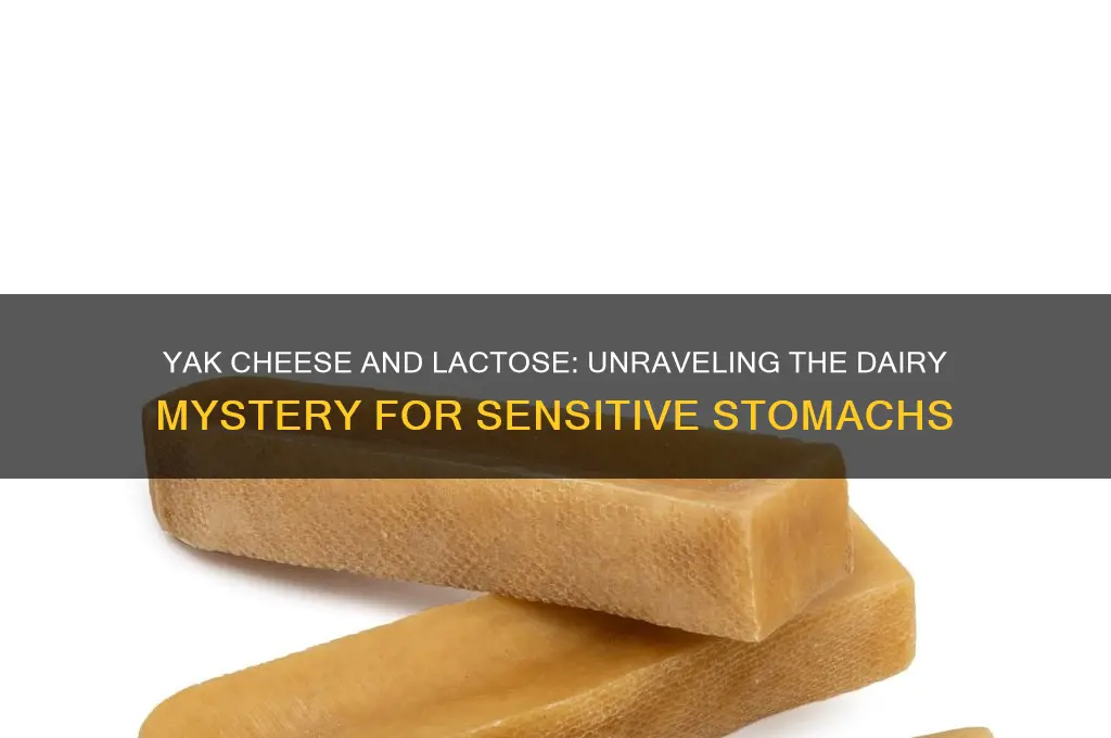 does yak cheese have lactose