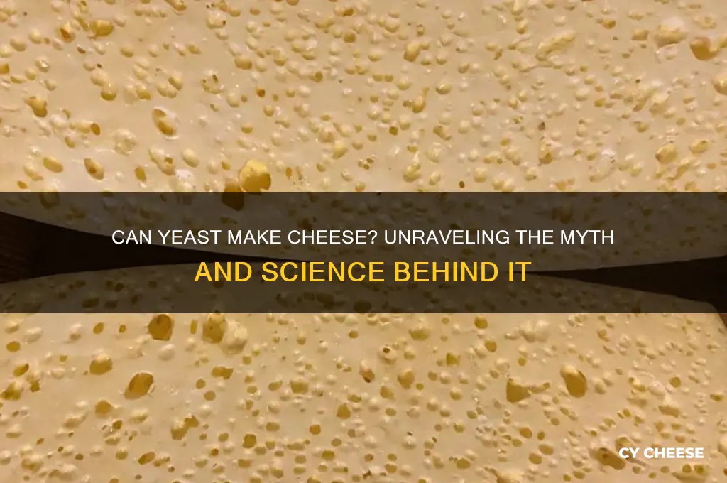 does yeast produce cheese